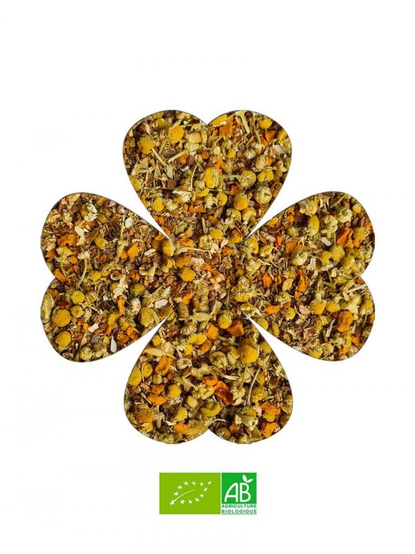 CAMOMILE ET UNE NUIT
