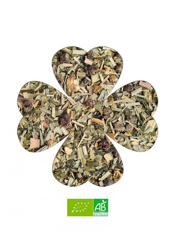 FRESH MATÉ