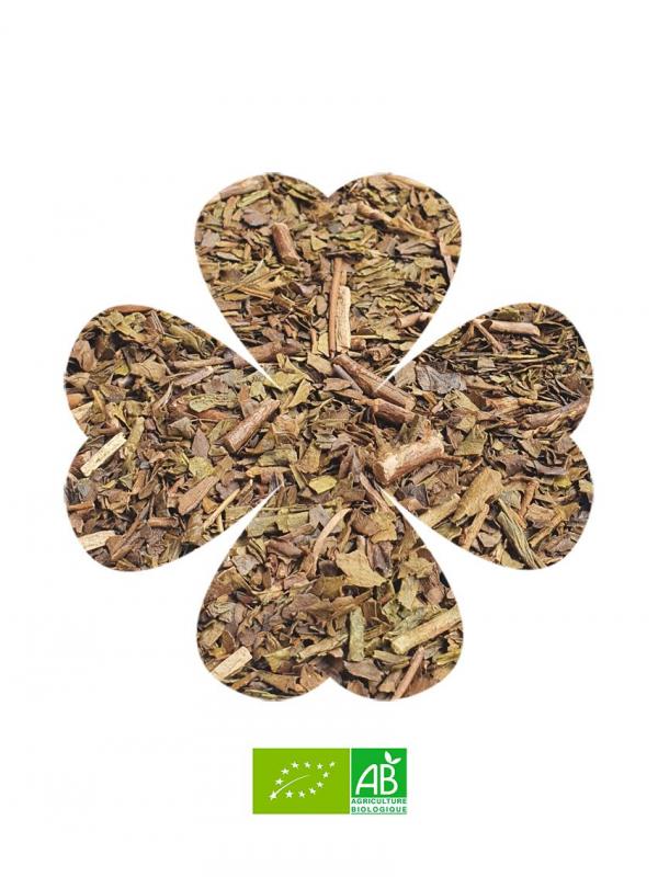 HOJICHA