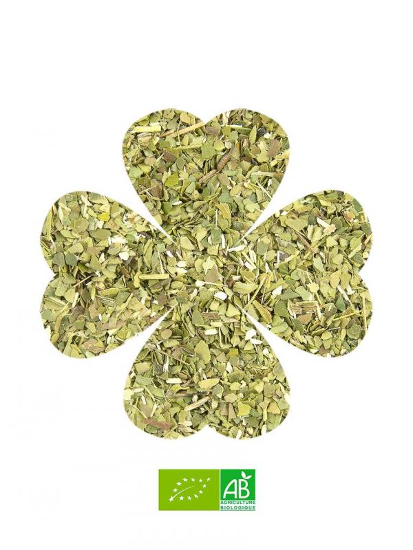 MATÉ