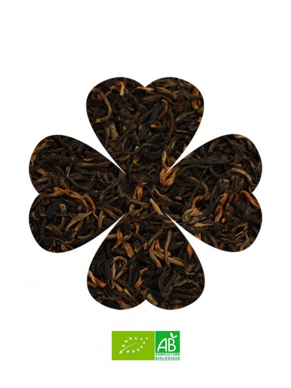 YUNNAN IMPÉRIAL